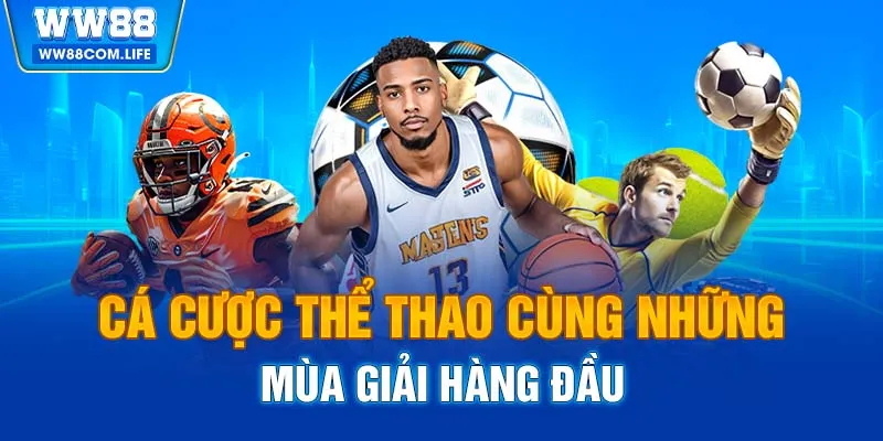 Cá cược thể thao cùng những mùa giải hàng đầu