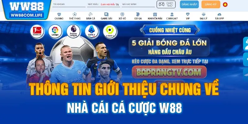 Thông tin giới thiệu chung về nhà cái cá cược WW88